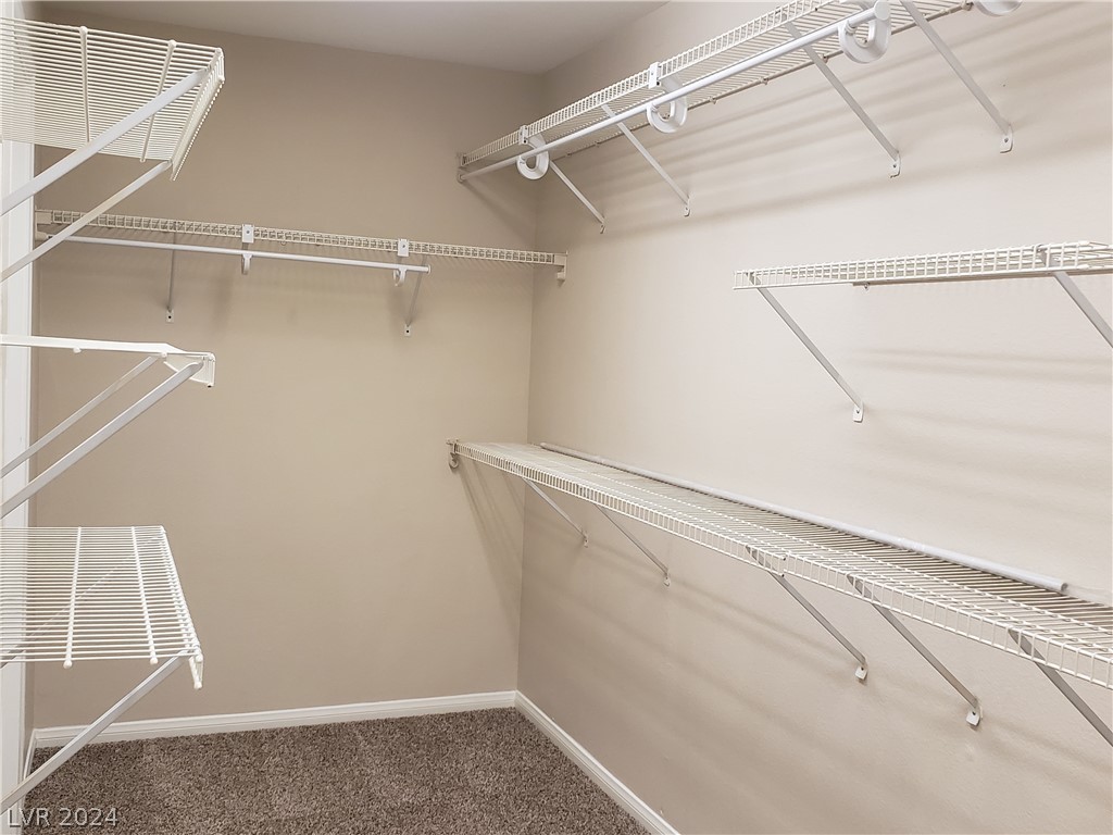 9760 Ramhorn Canyon Street