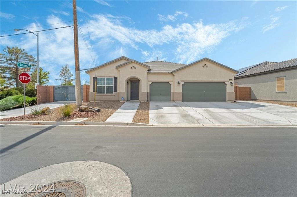 7497 Roman Huff Street