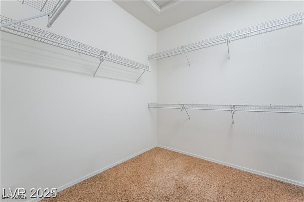 3029 Brownbirds Nest Drive