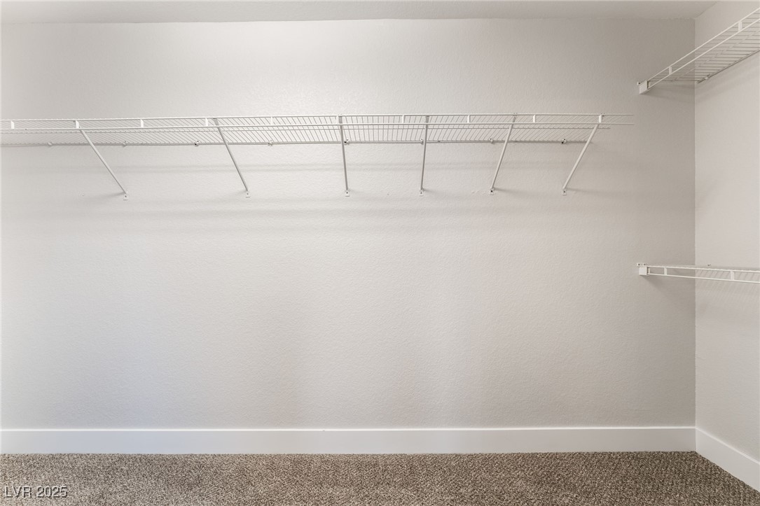 1242 La Ballena Trail