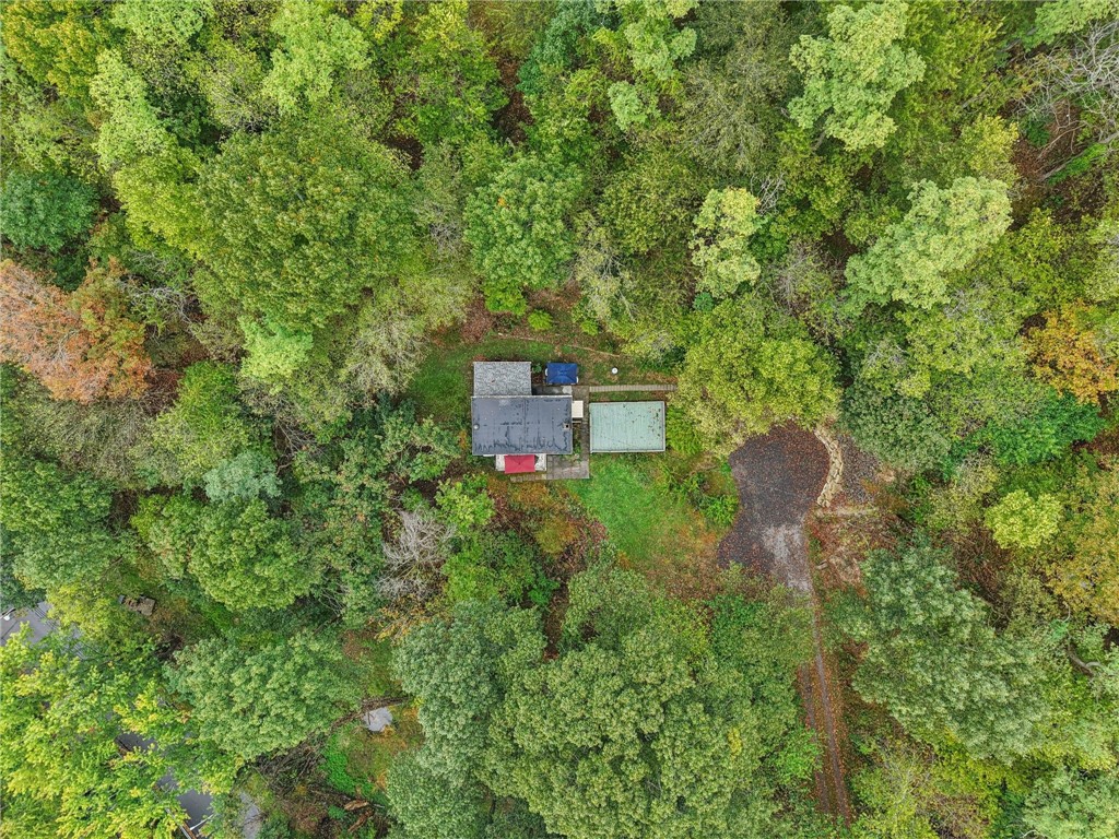446 Bascom Ave