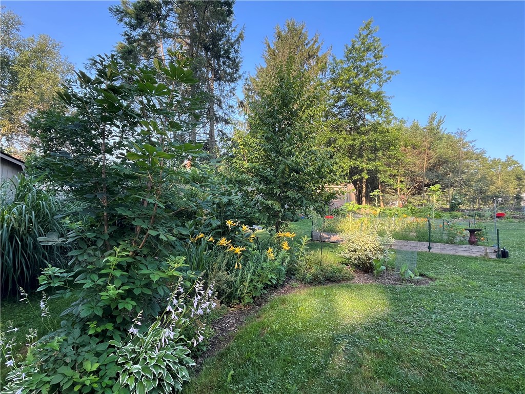 1865 Brandywine Drive