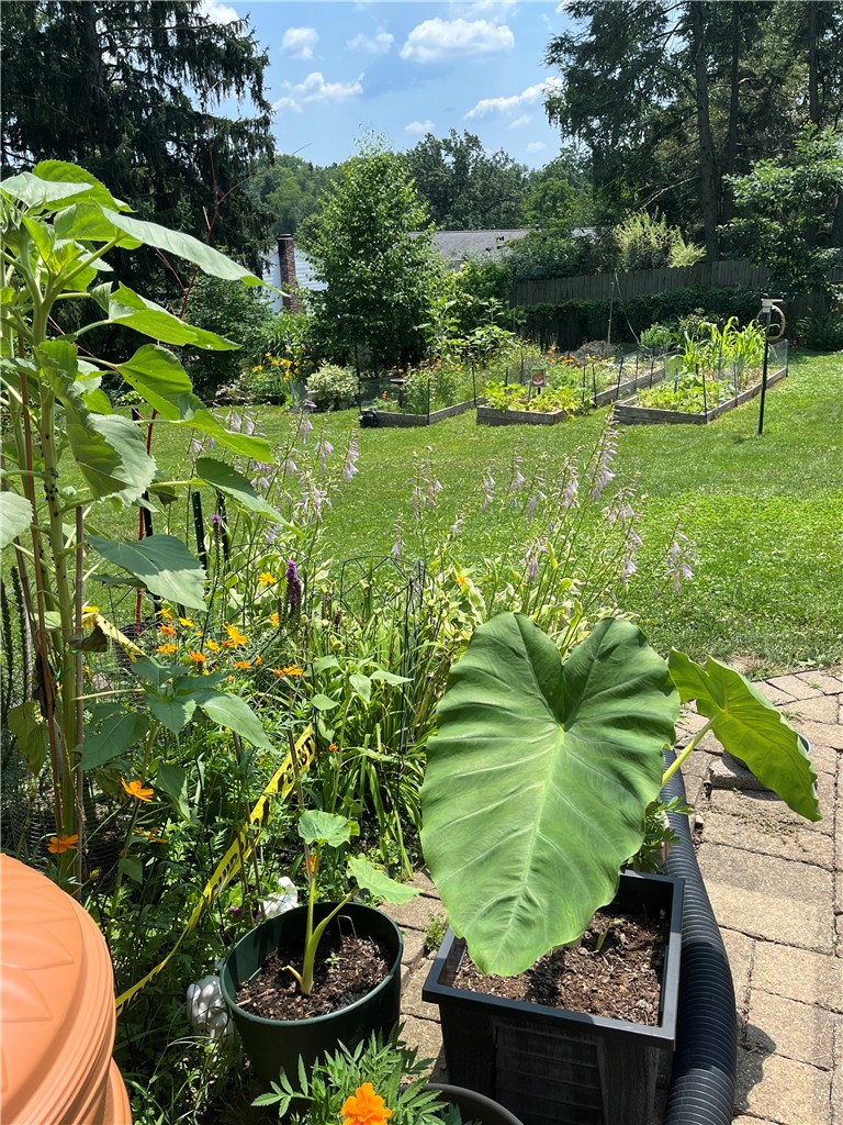 1865 Brandywine Drive