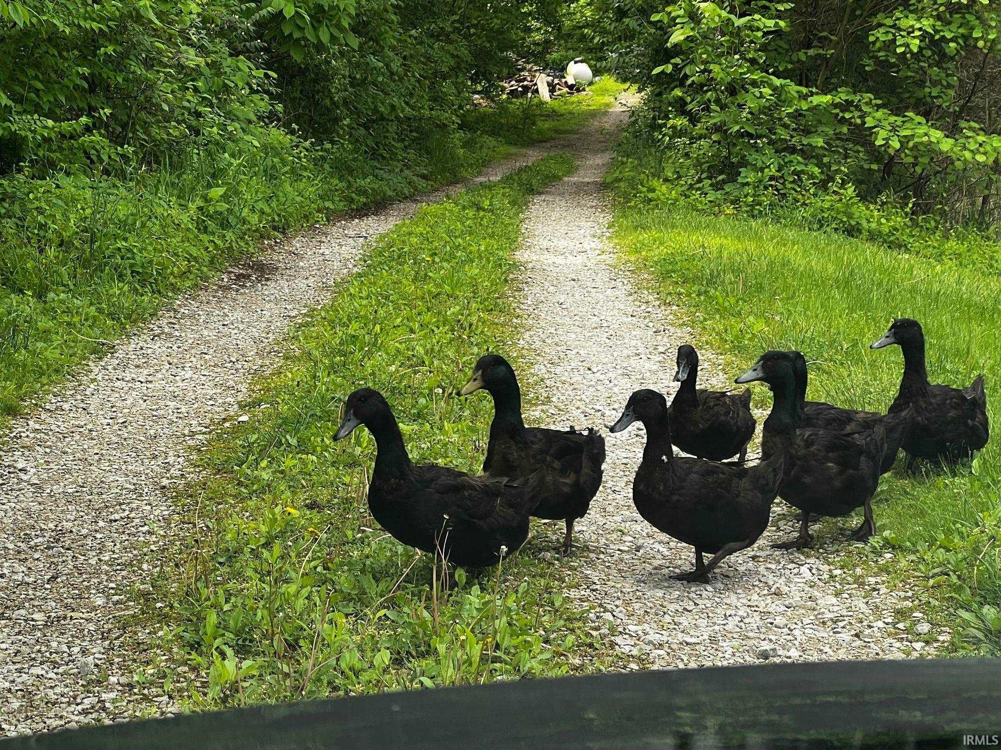 4084 E Old Meyers Road