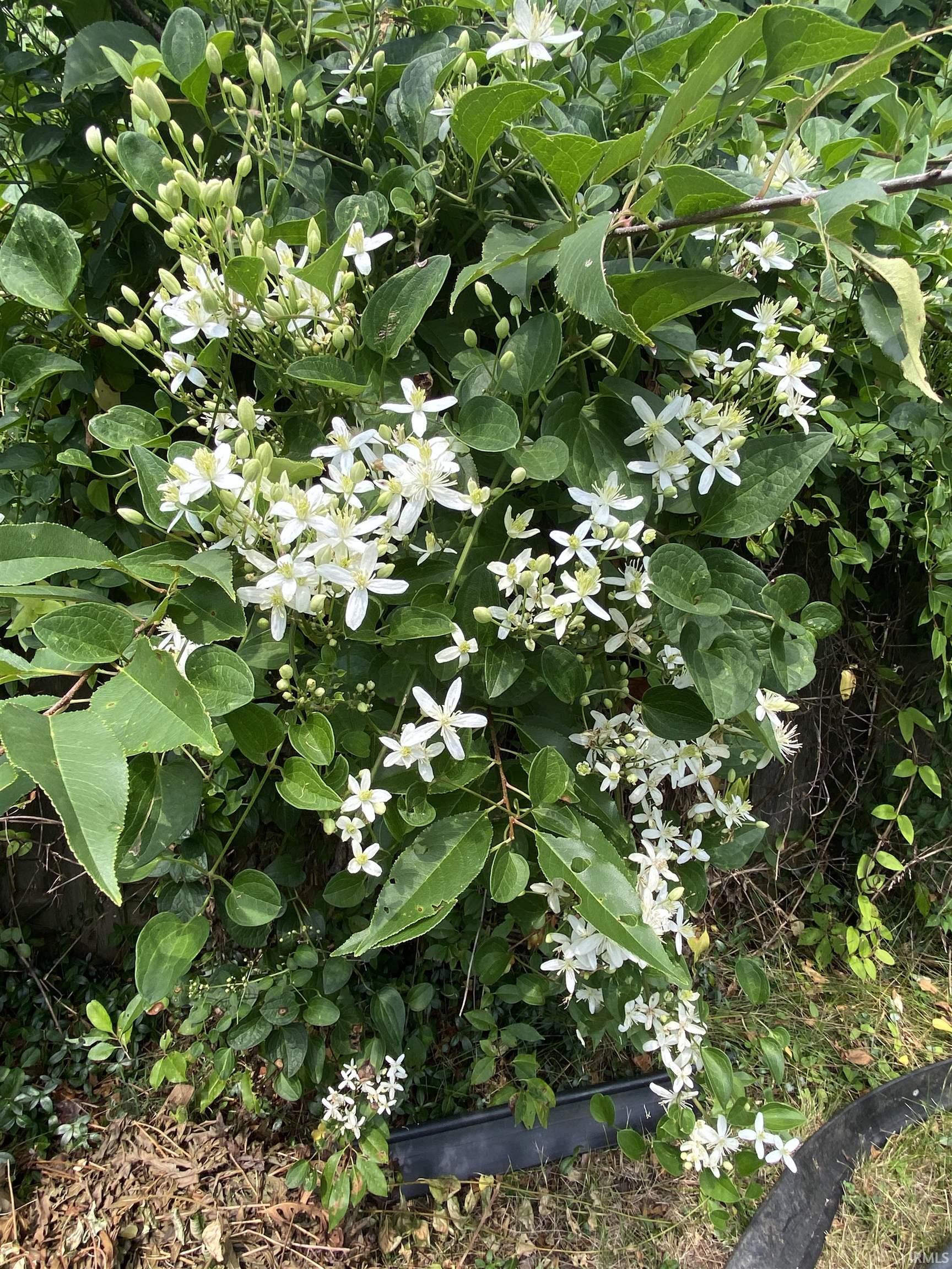 1031 S Graywell Drive