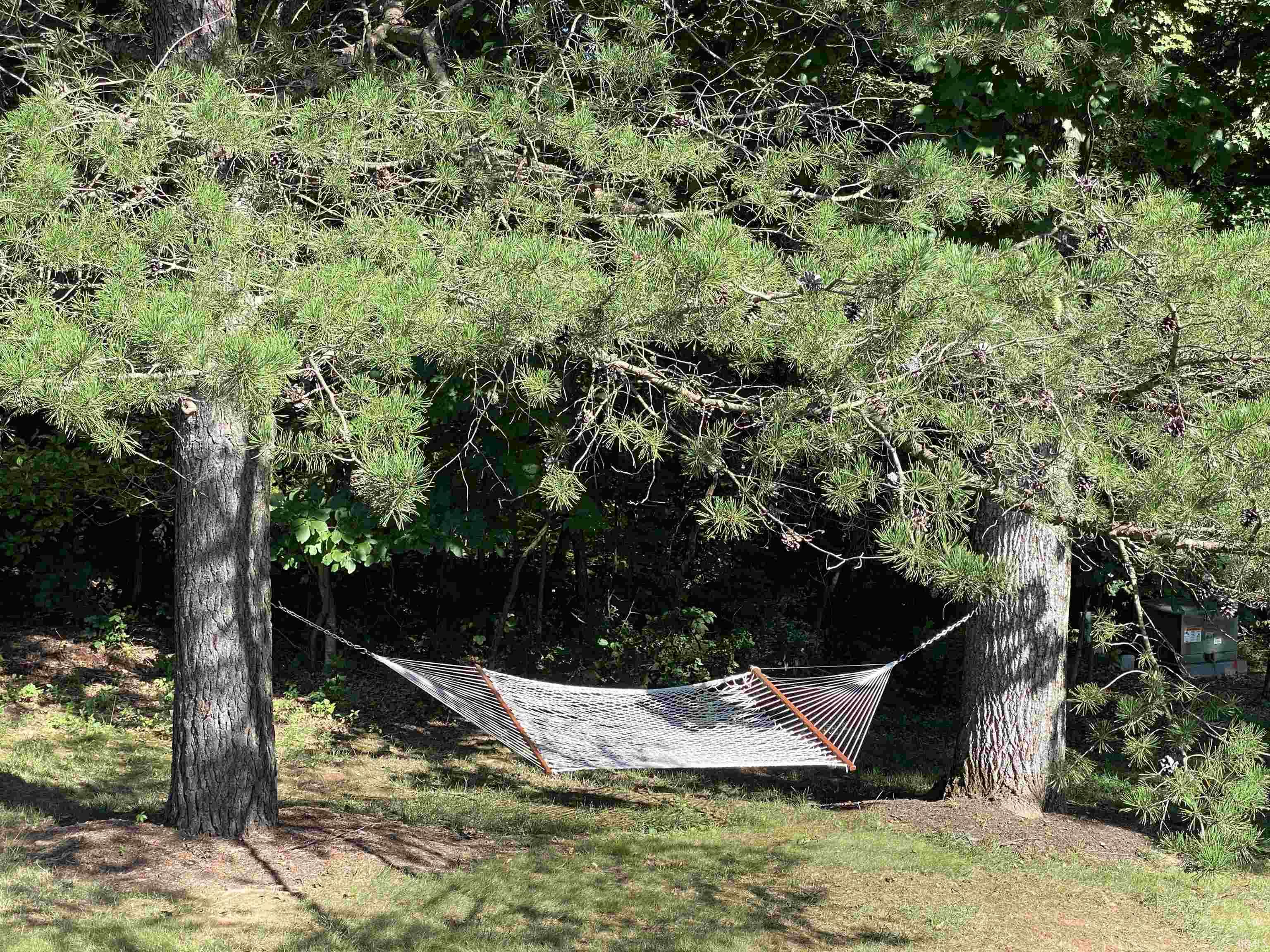 4154 W Meadowvale Drive