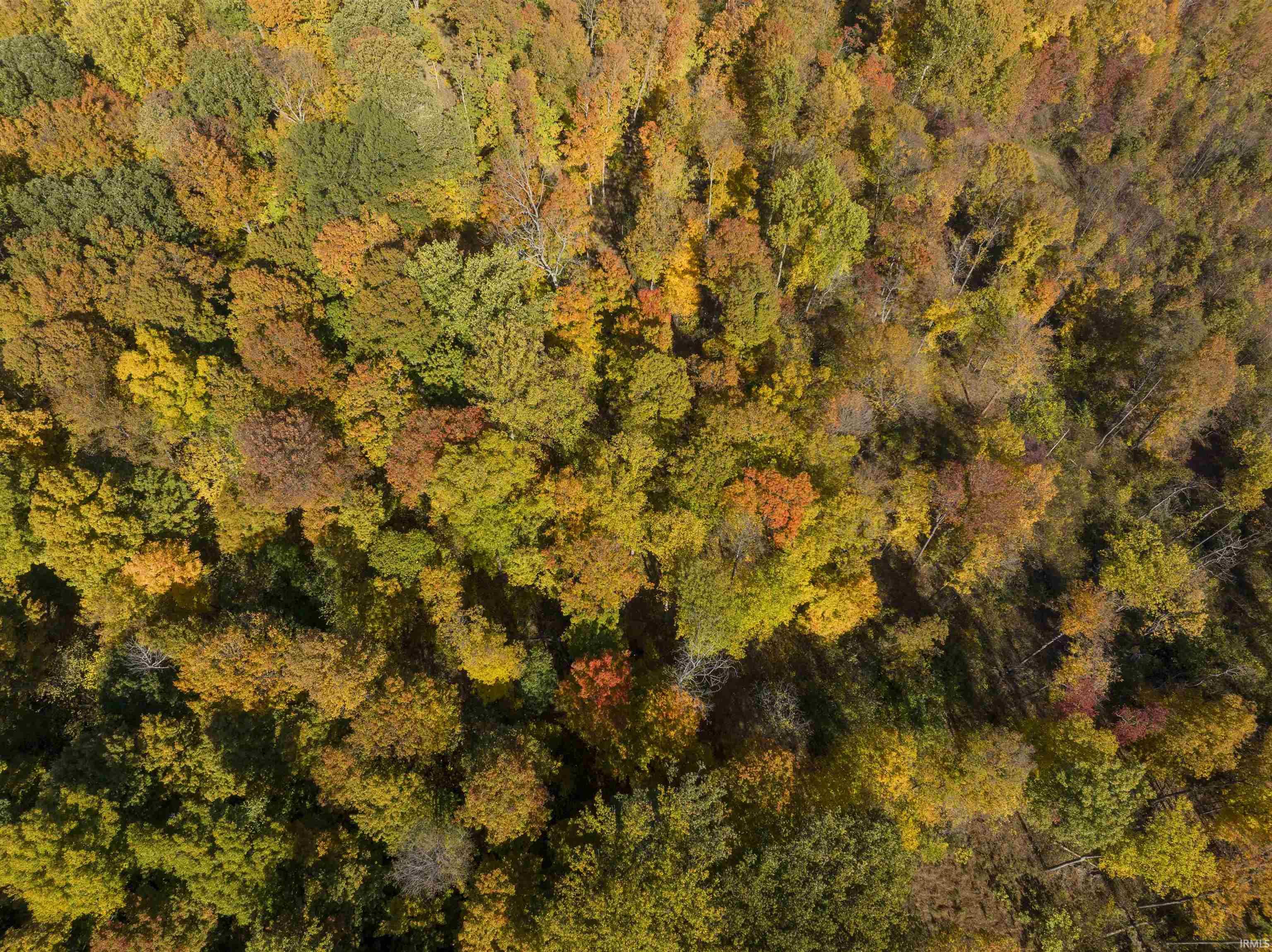 8270 W Chafin Chapel Road