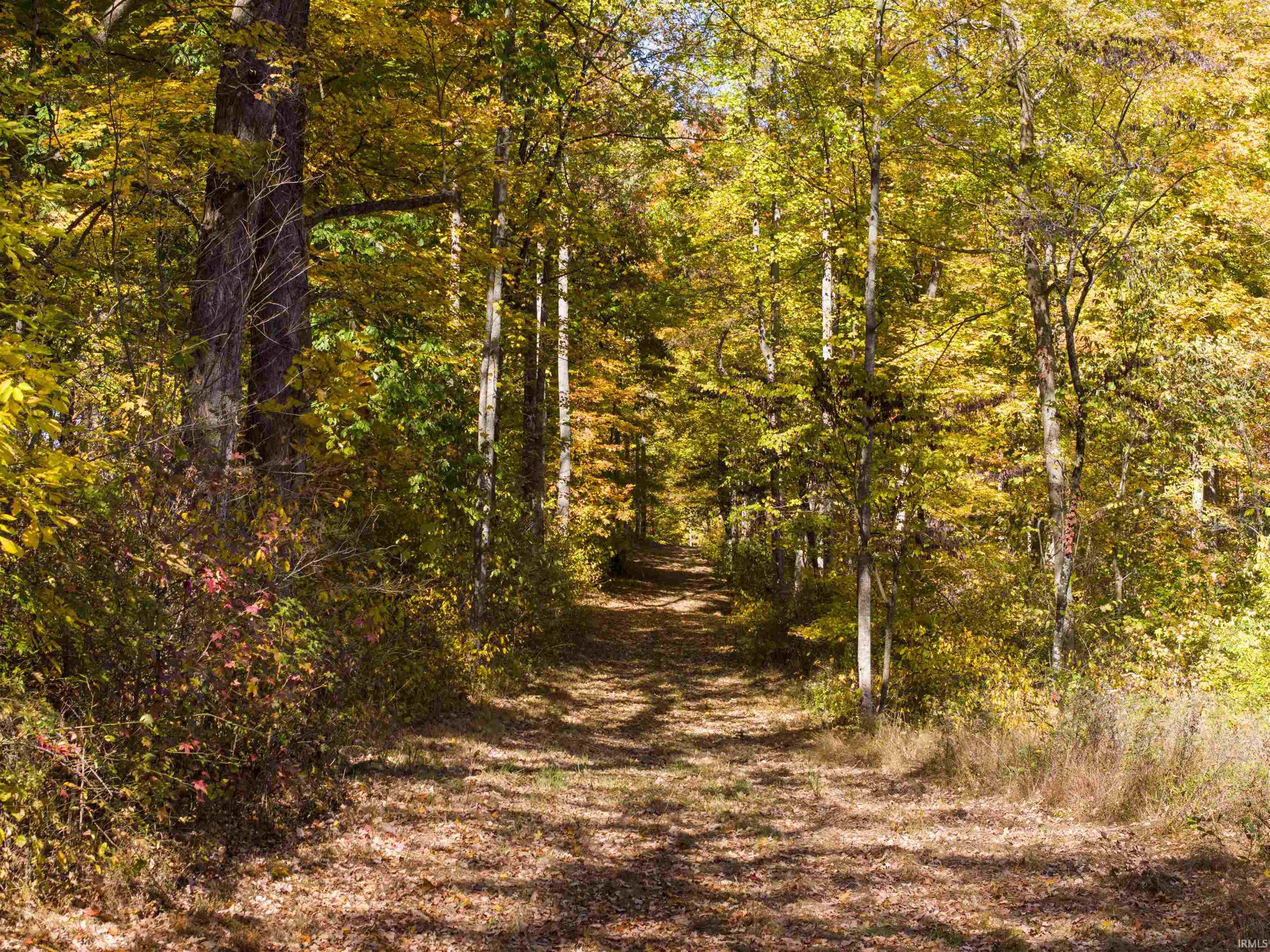 8270 W Chafin Chapel Road