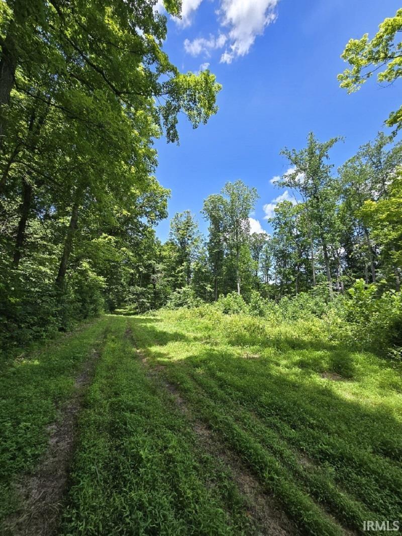 8270 W Chafin Chapel Road