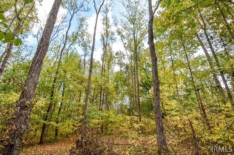 8270 W Chafin Chapel Road