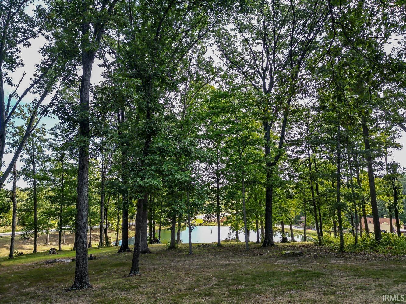 10084 E State Road 54