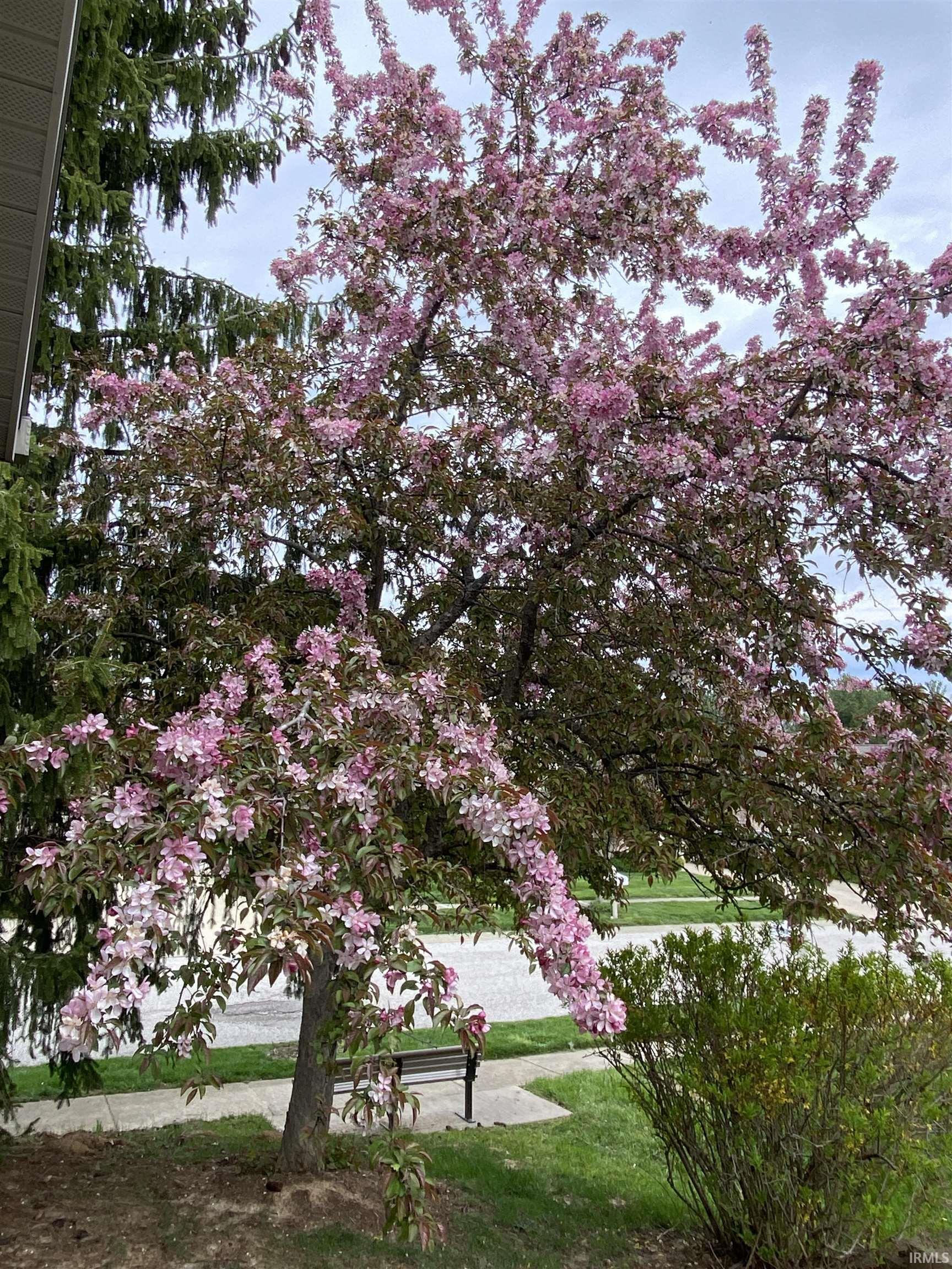 3954 N Wintersweet Drive