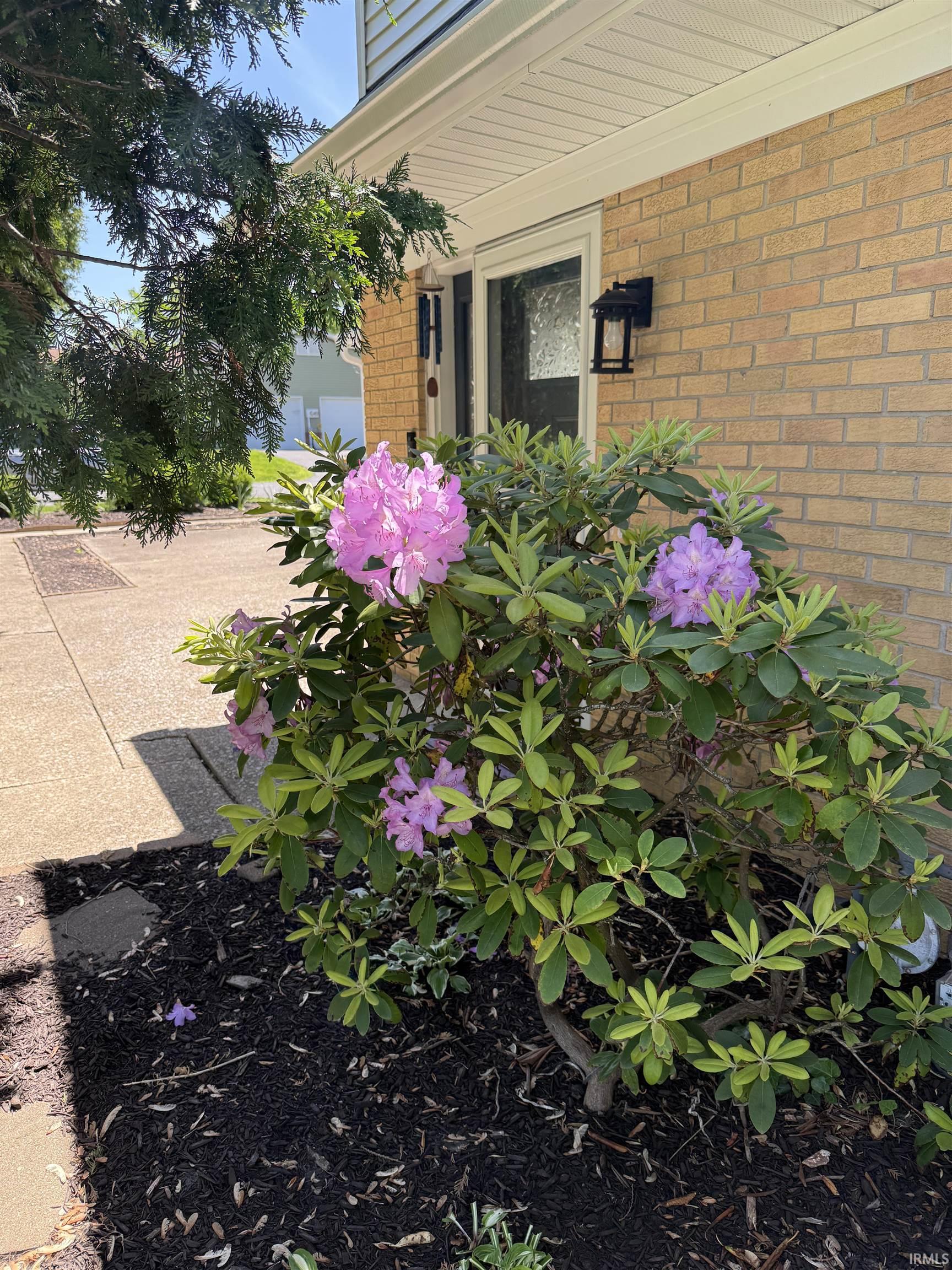 3106 S Carnaby Street