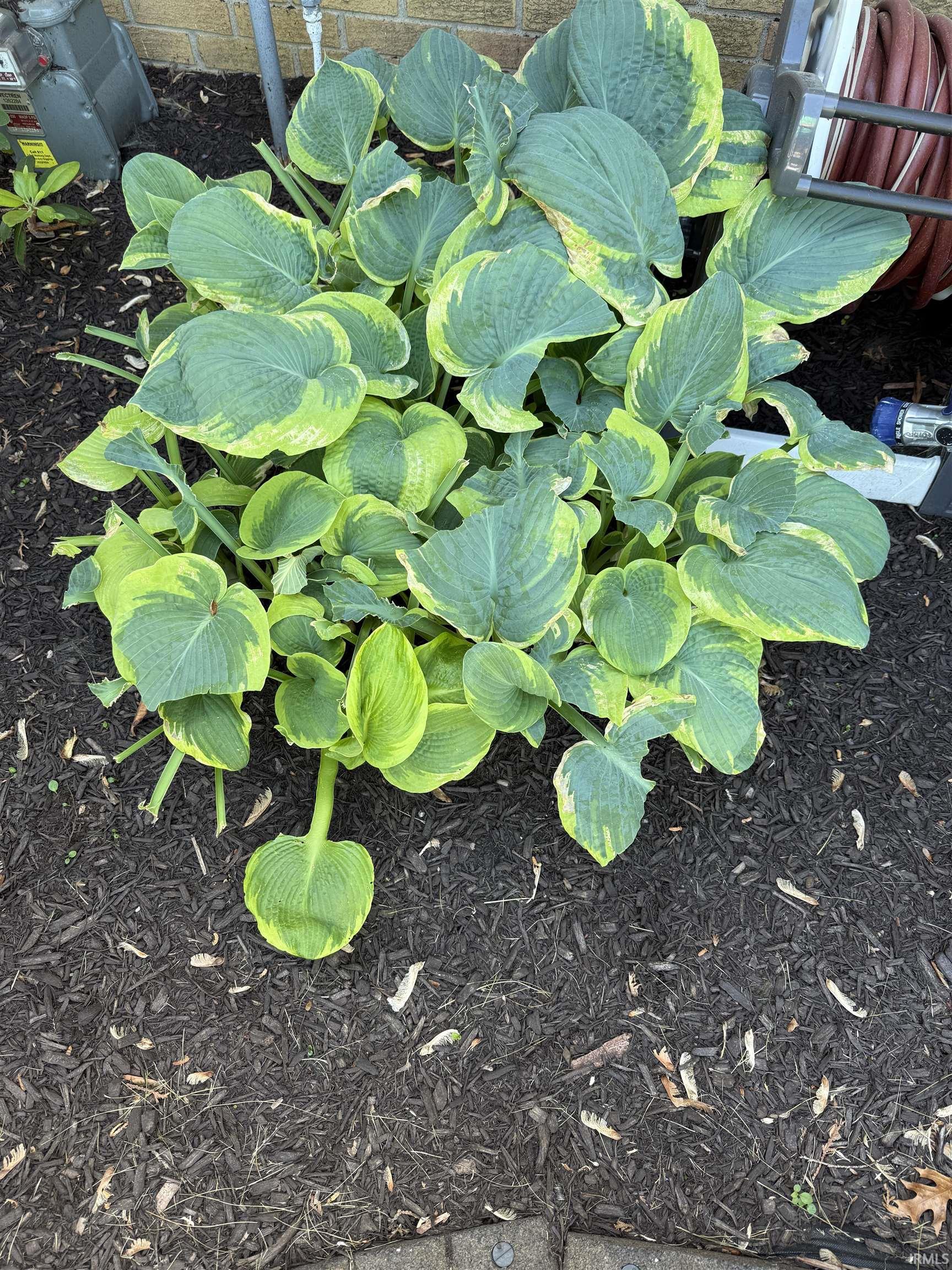 3106 S Carnaby Street