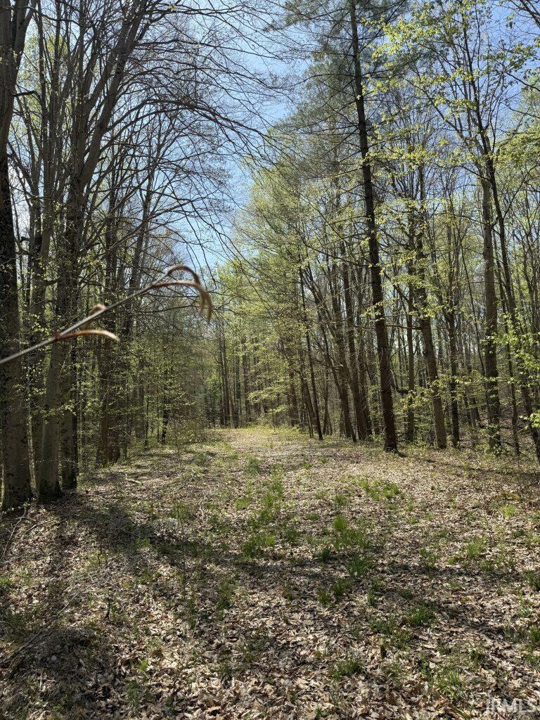 8781 E Southshore Drive