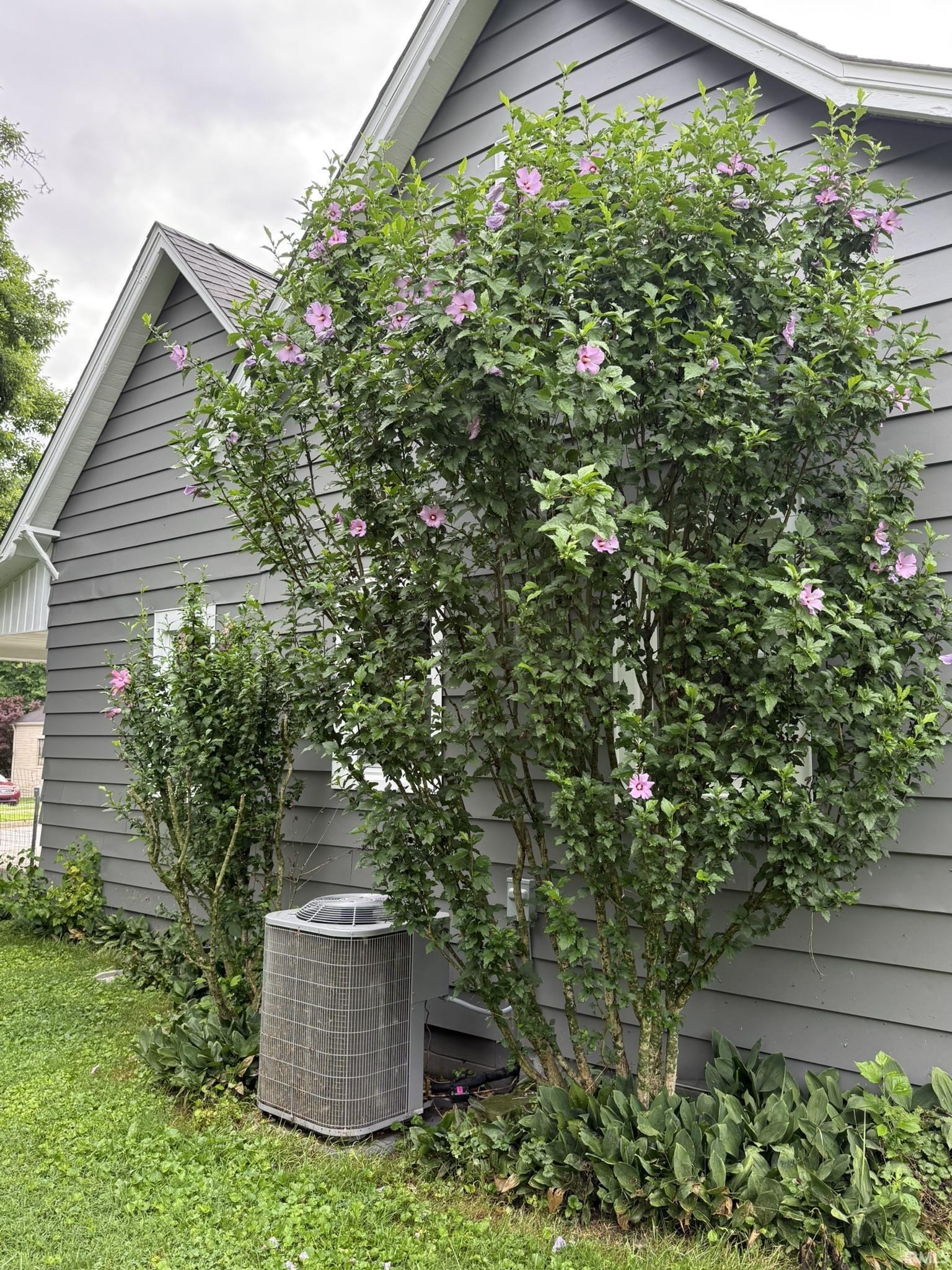 903 W Temperance Street