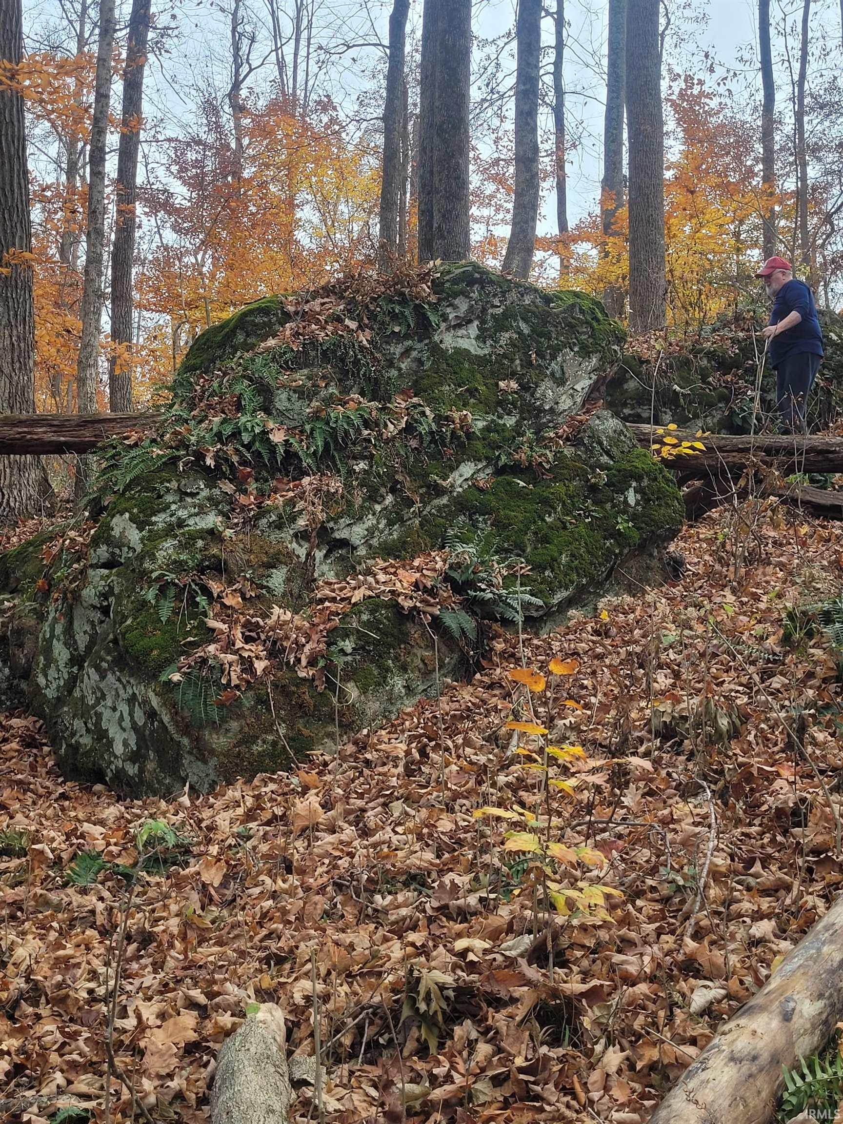 5276 N Blue Heron Road