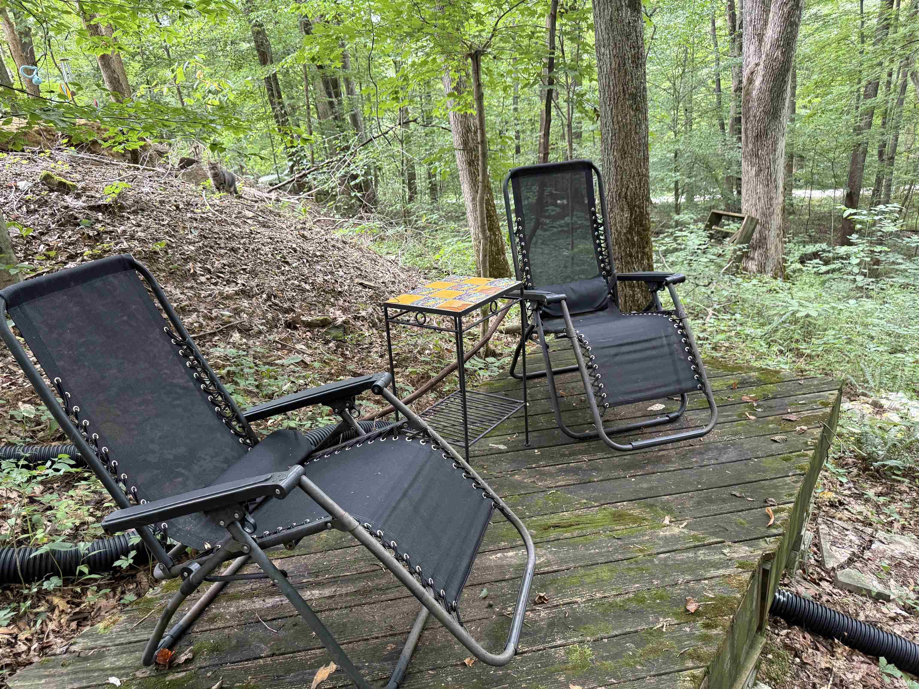 5276 N Blue Heron Road