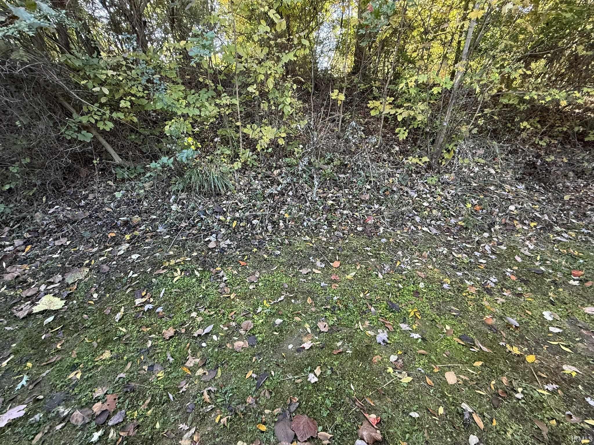 1016 N Forest View Drive