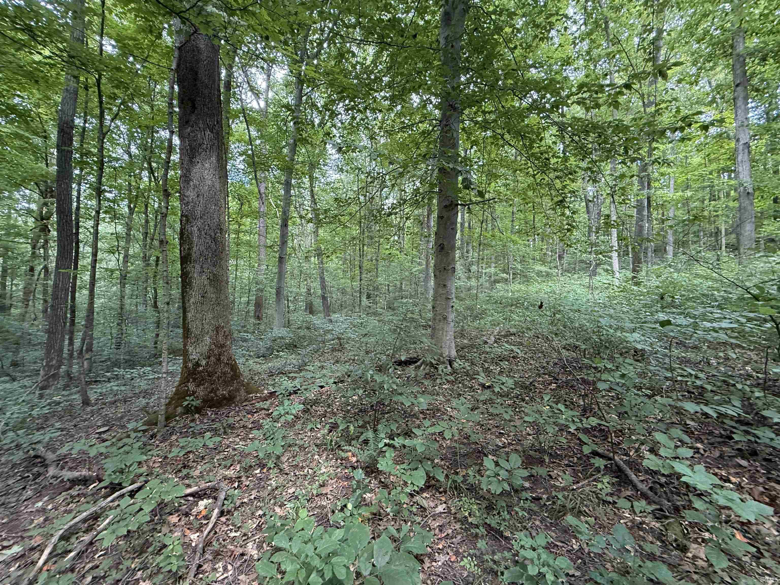 5276 N Blue Heron Road