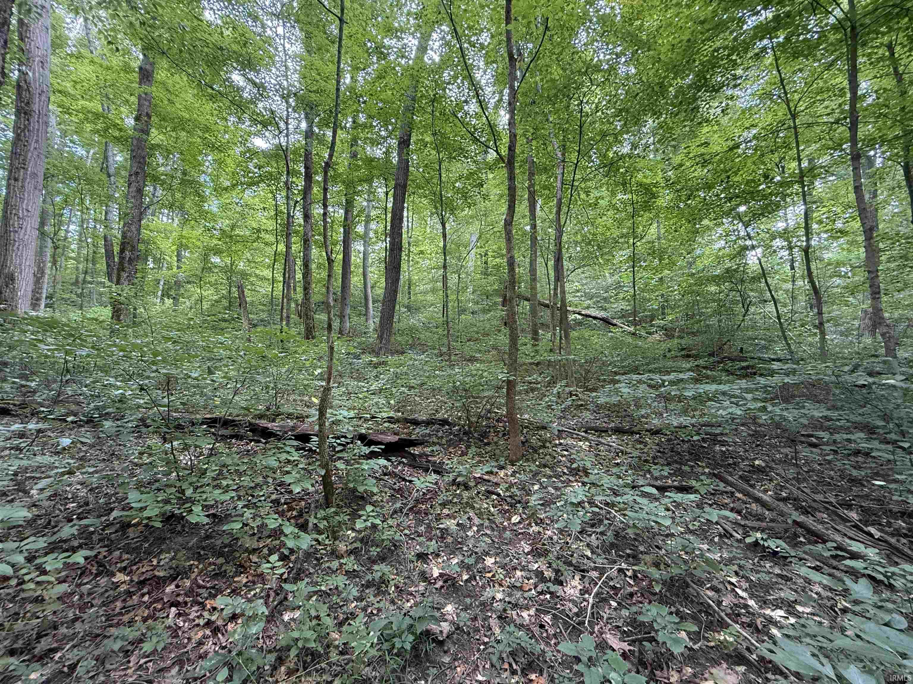 5276 N Blue Heron Road