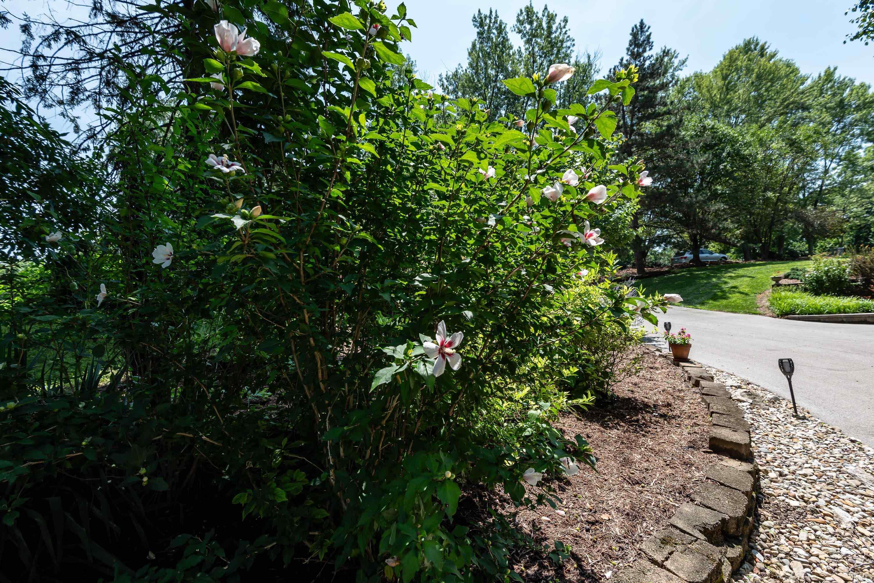 4125 E Bethel Lane