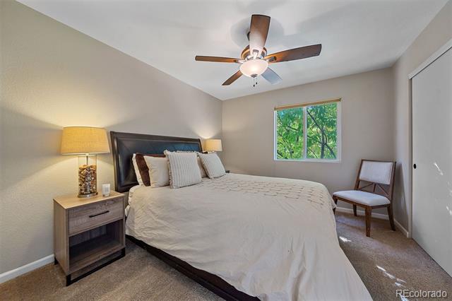 1322 Trail Ridge Road