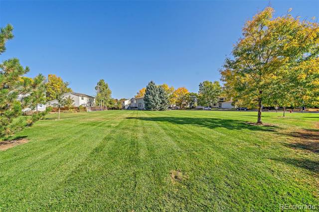 1322 Trail Ridge Road