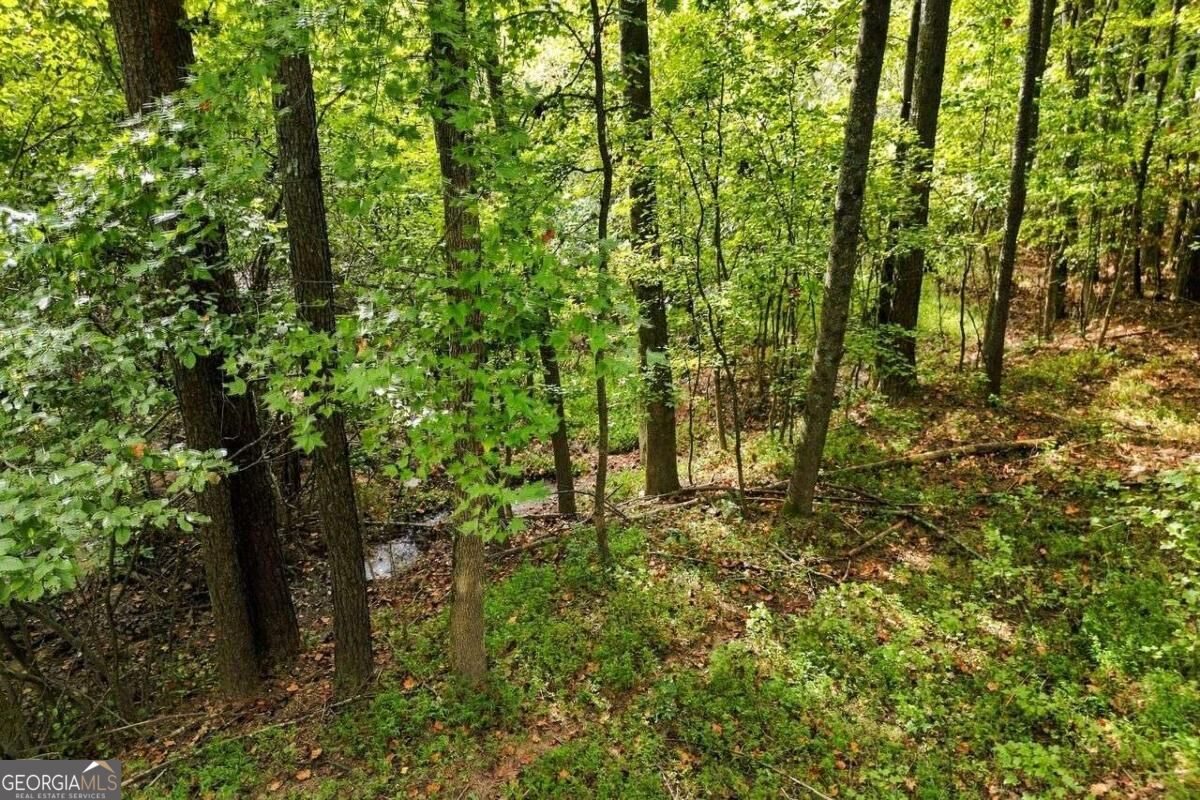 Wooded property lot with mature trees and a small creek.