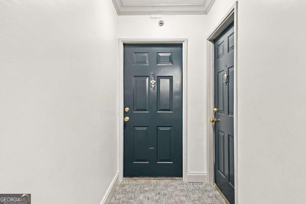Apartment entry foyer with a dark paneled front door, light carpet, and white walls.