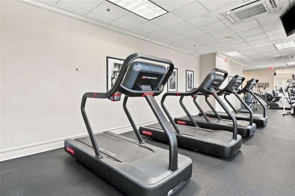 Fitness room with a row of treadmills and additional cardio machines.