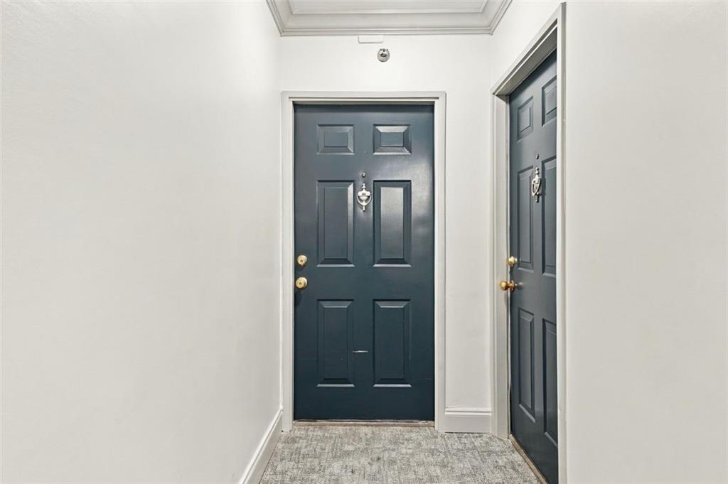 Entry vestibule with dark paneled doors, white walls, and gray patterned carpet.