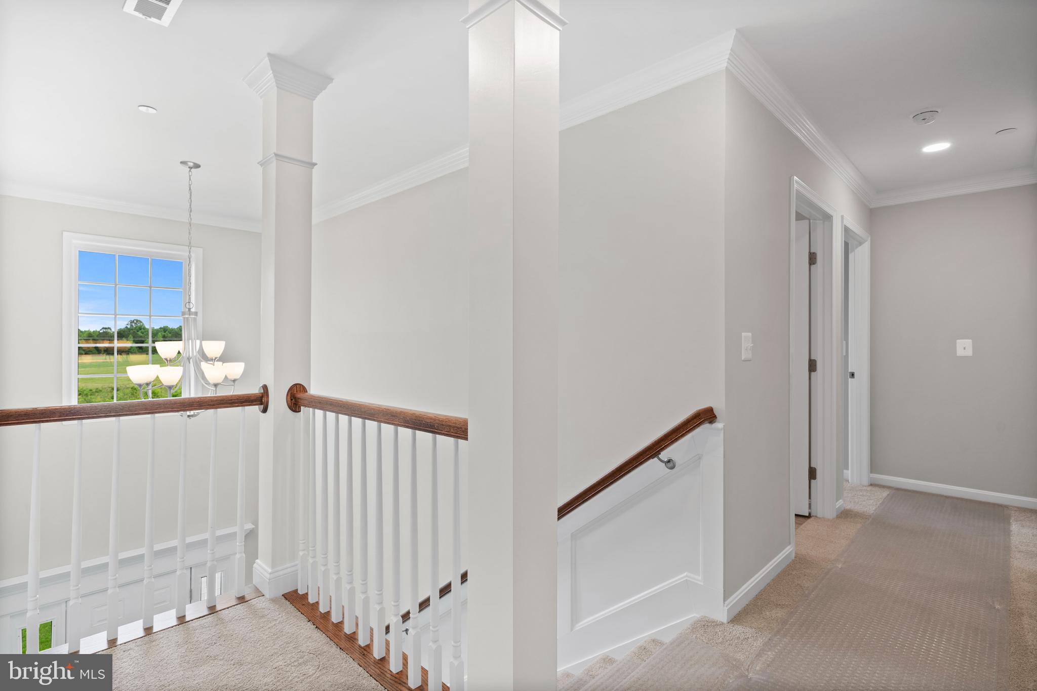 17 CANDLEBERRY DRIVE