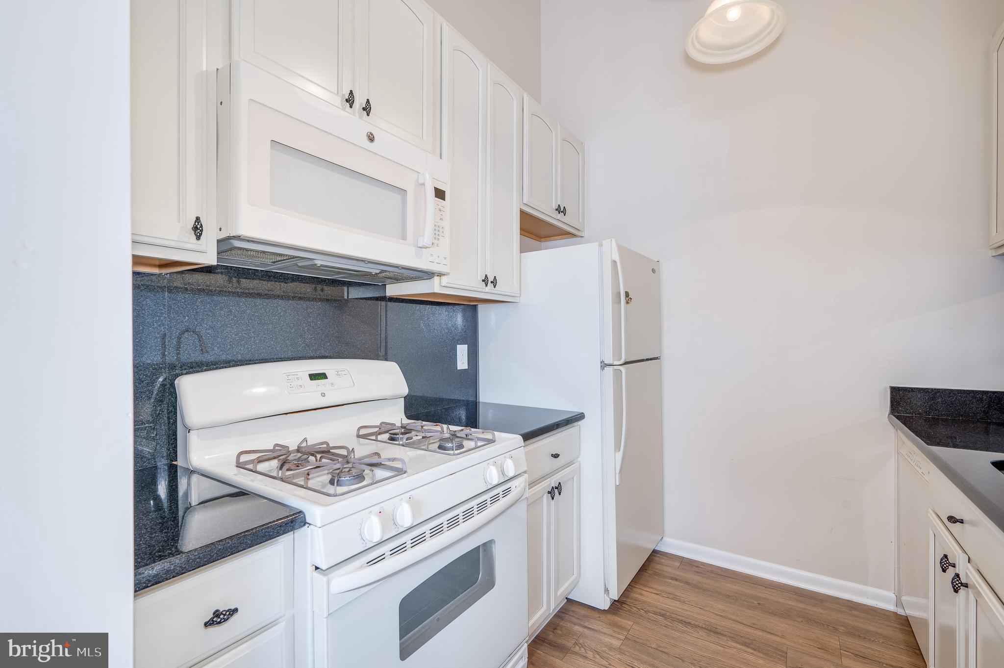 1600 BERRY ROSE COURT 1 3A