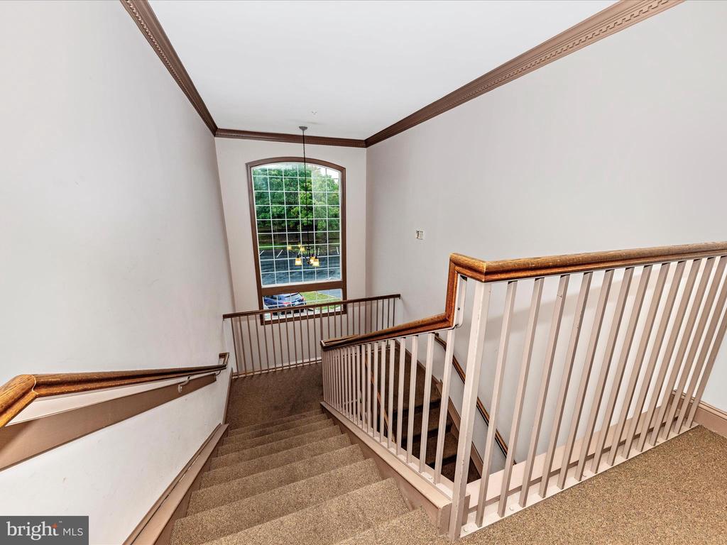 2404 DOMINION DRIVE 3A
