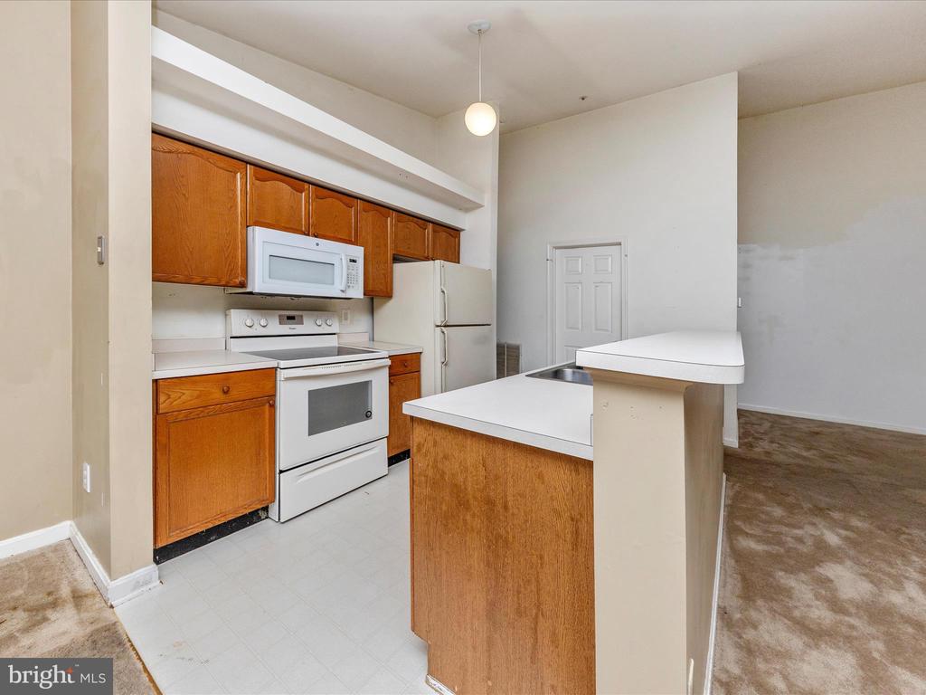 2404 DOMINION DRIVE 3A