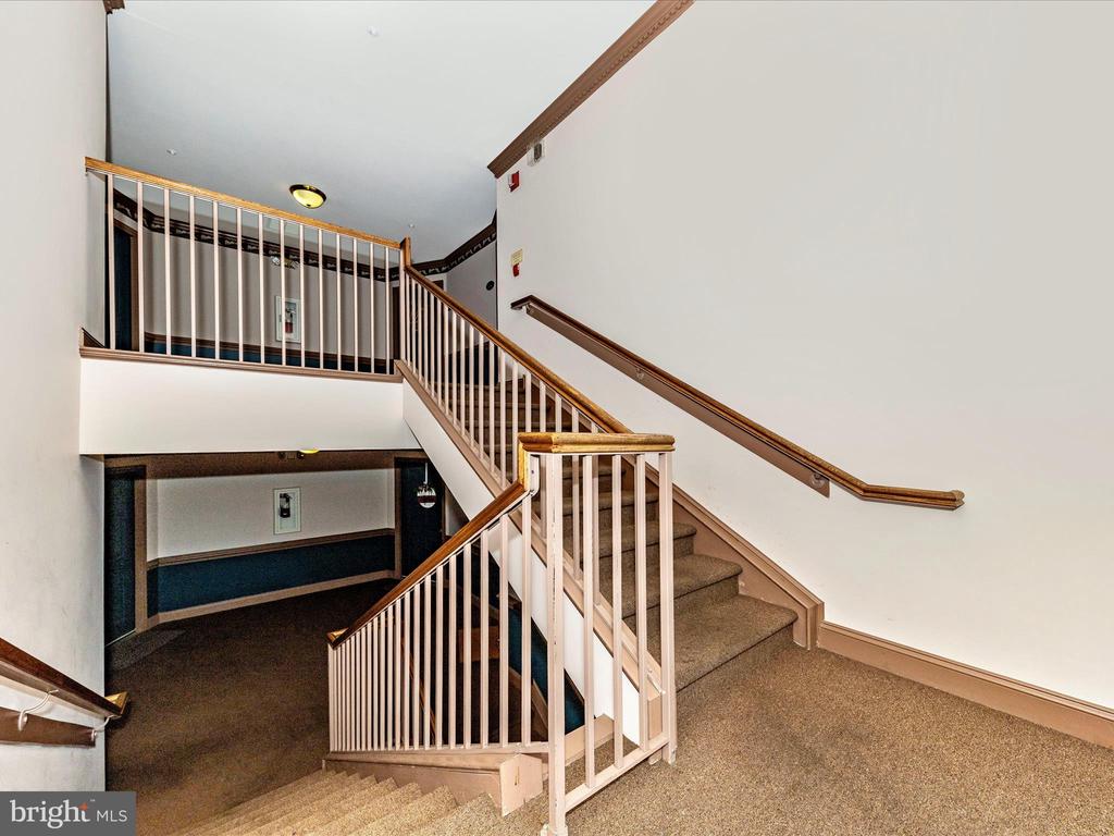 2404 DOMINION DRIVE 3A