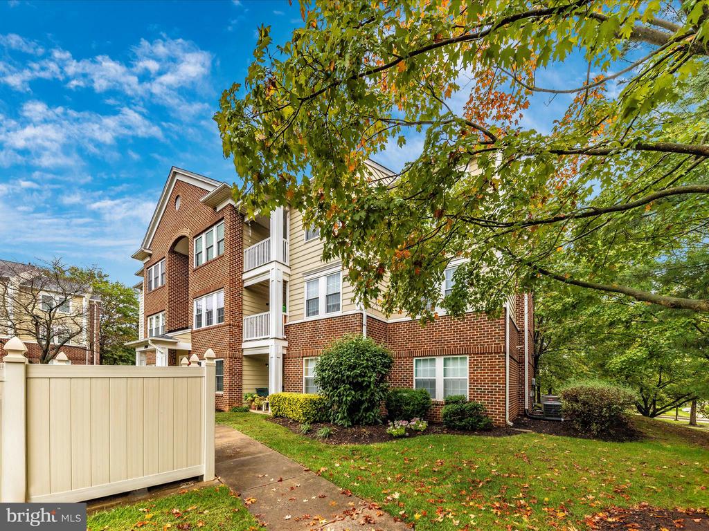 2404 DOMINION DRIVE 3A