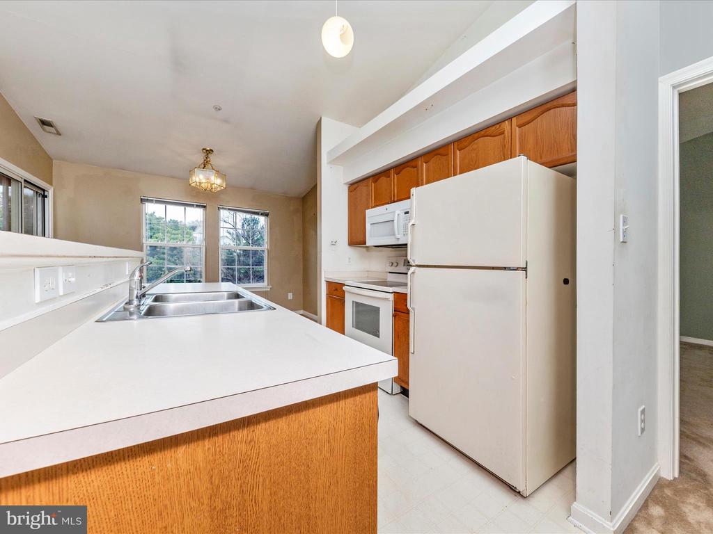 2404 DOMINION DRIVE 3A