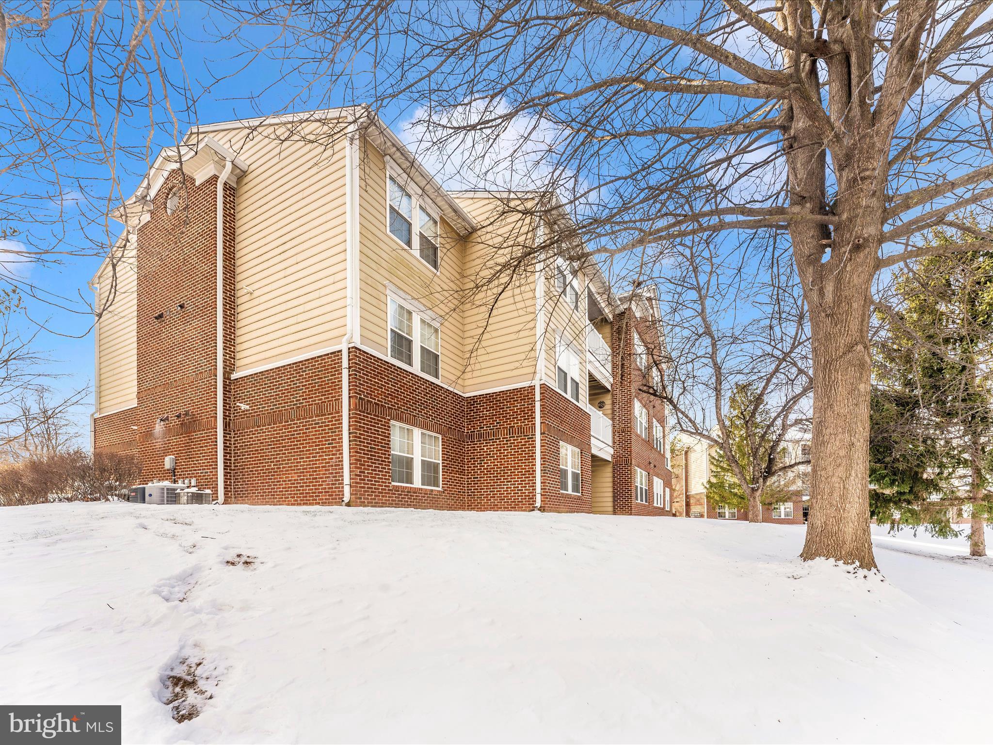 2404 DOMINION DRIVE 3A