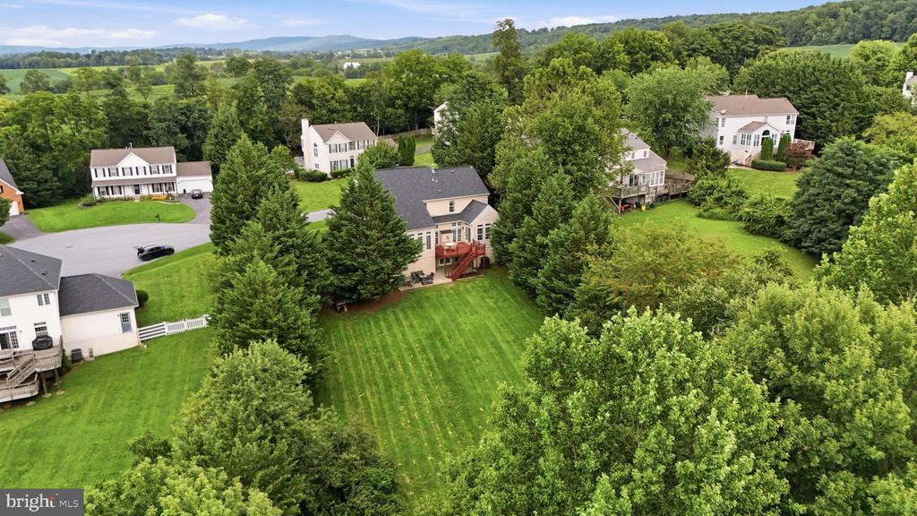 4213 WALLINGFORD COURT