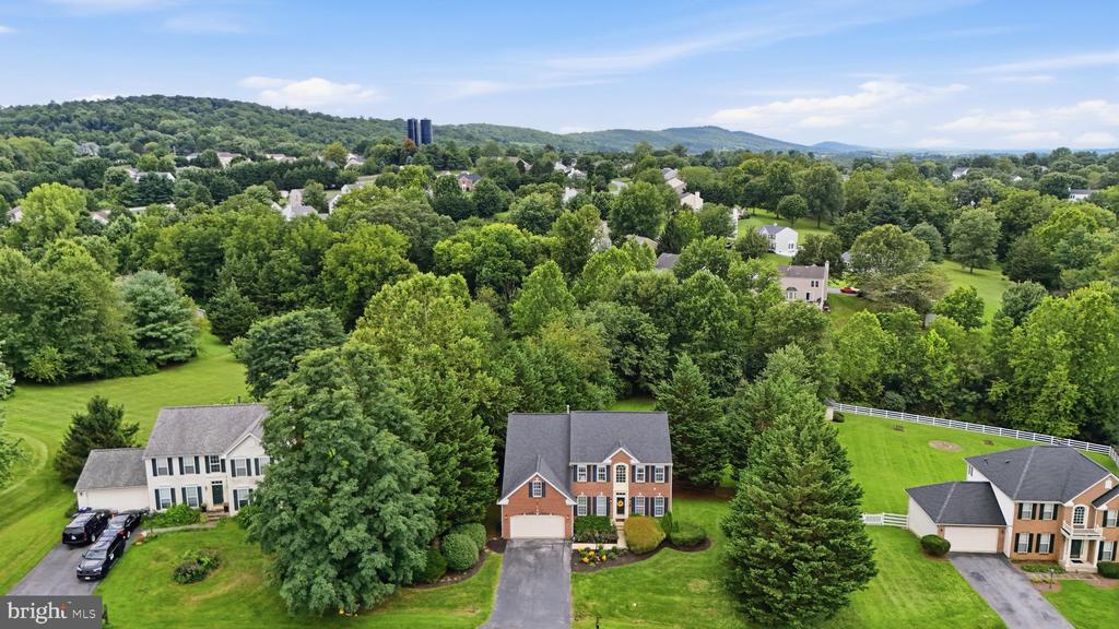 4213 WALLINGFORD COURT