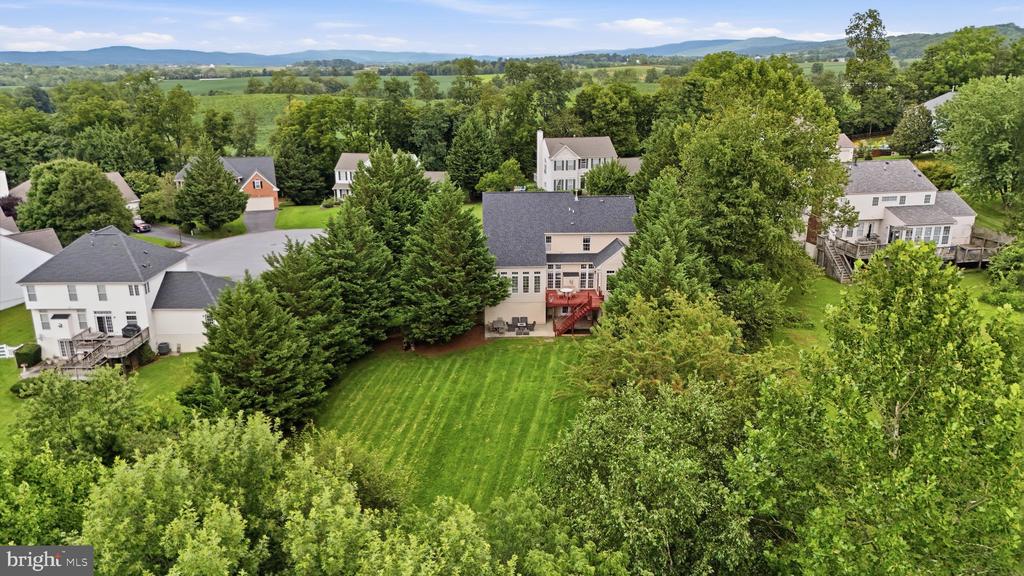 4213 WALLINGFORD COURT