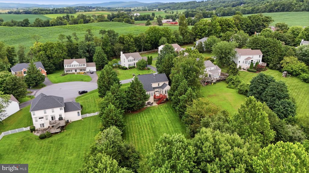 4213 WALLINGFORD COURT