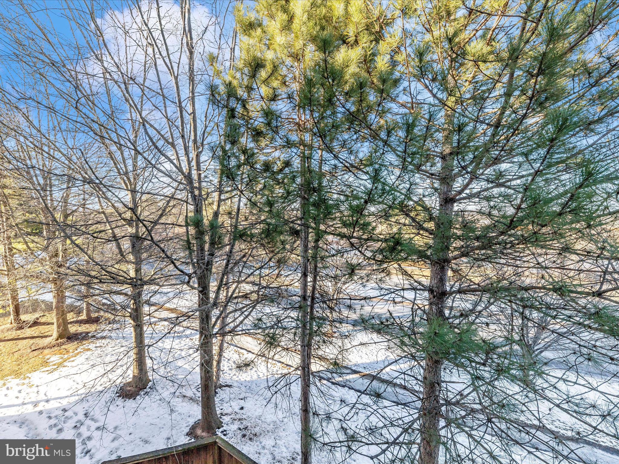 12705 FOUND STONE ROAD 7-302