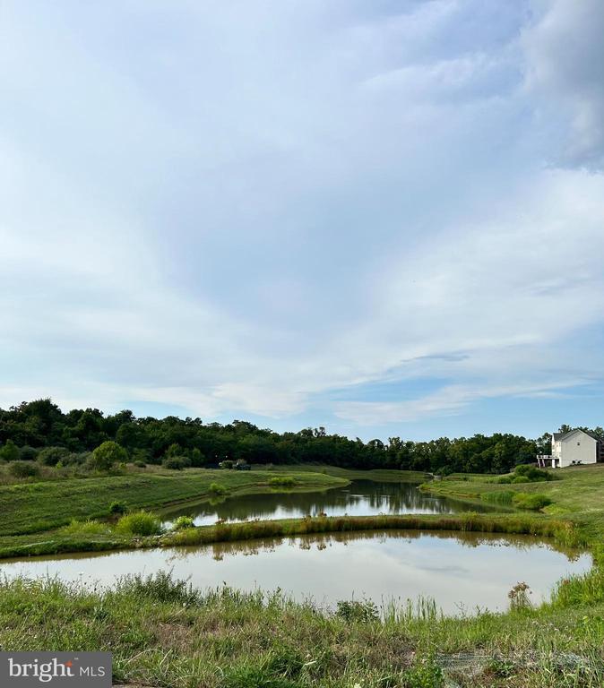 301 HILLSDALE PLACE
