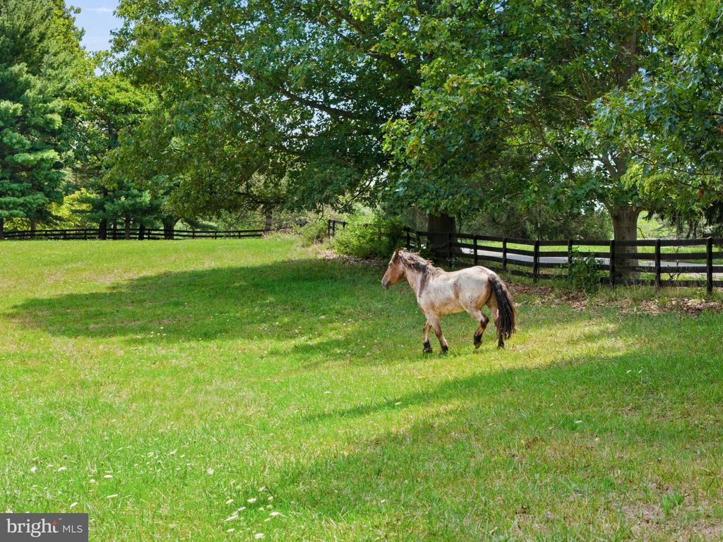 234 STRIDER ROAD