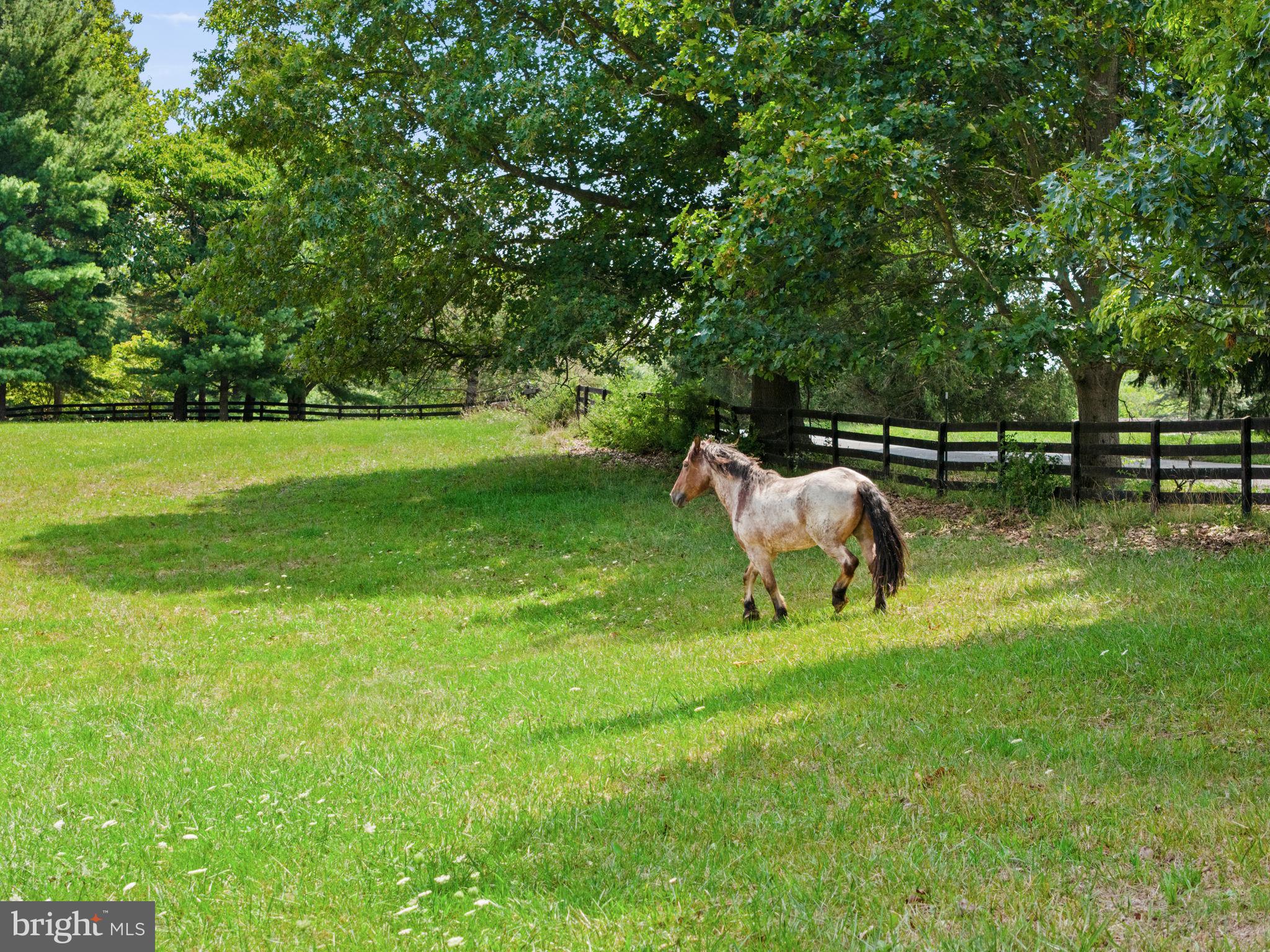 234 STRIDER ROAD