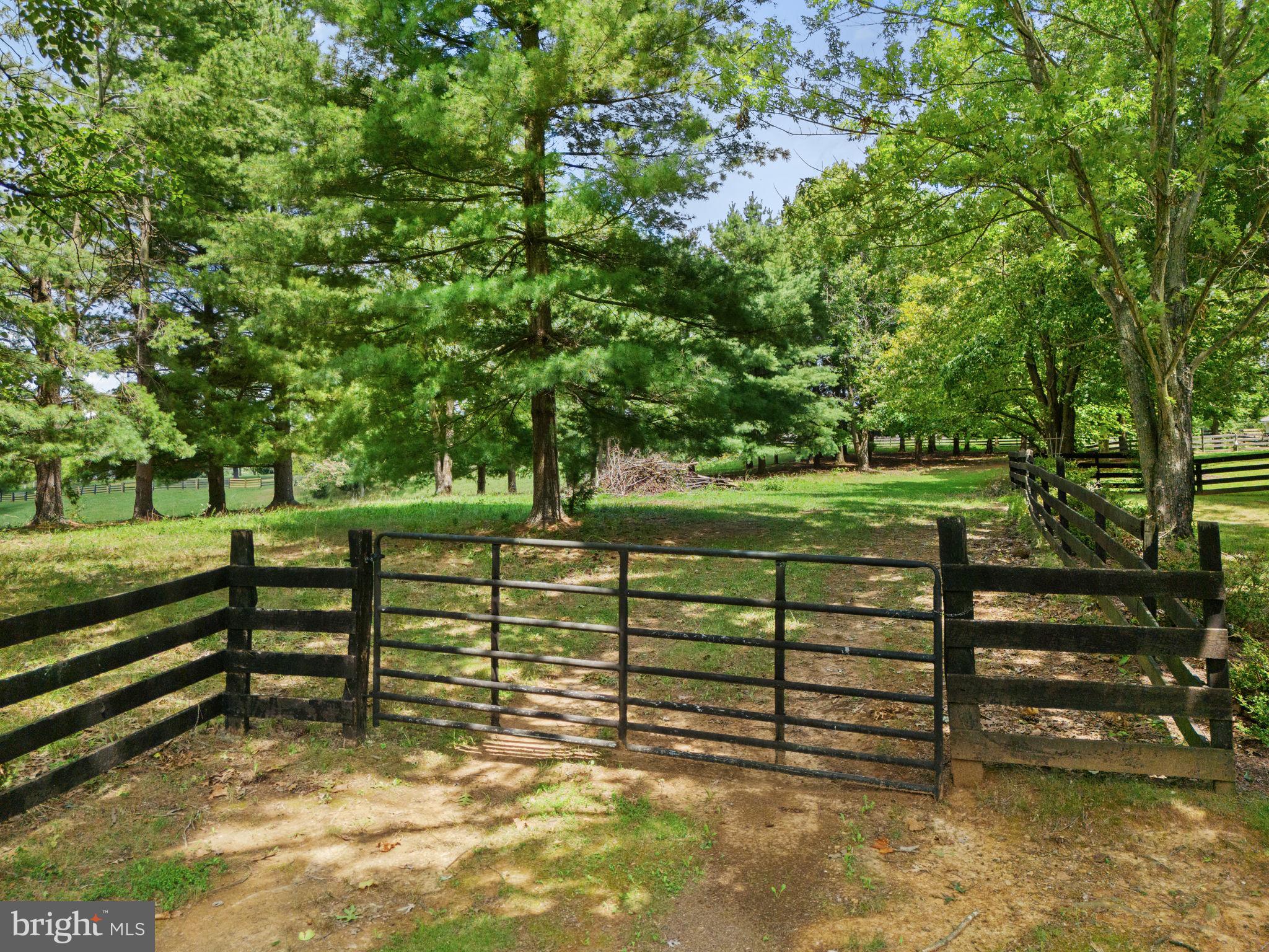 234 STRIDER ROAD
