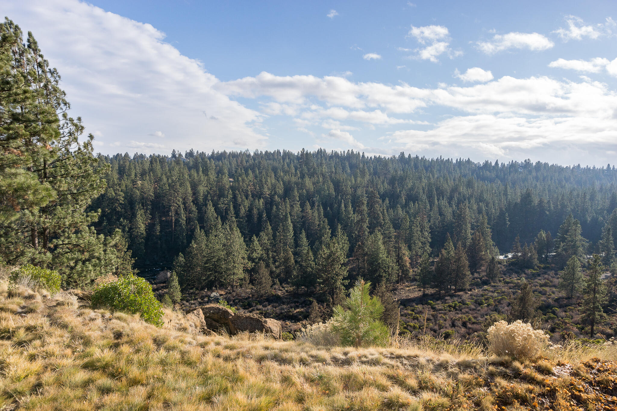 19717 SW Mt Bachelor Drive Unit: 329